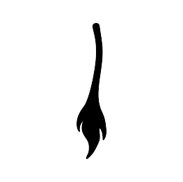Donkey Tail Silhouette