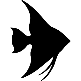 Angelfish Silhouette