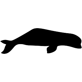 Beluga Whale Silhouette