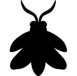 Firefly Silhouette