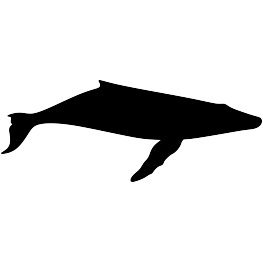 Humpback Whale Silhouette