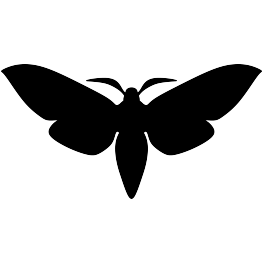Moth Silhouette