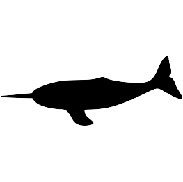Narwhal Silhouette