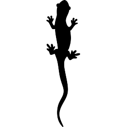 Salamander Silhouette