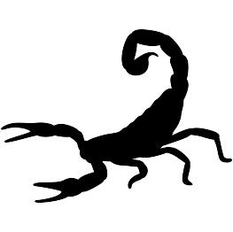 Scorpion Silhouette