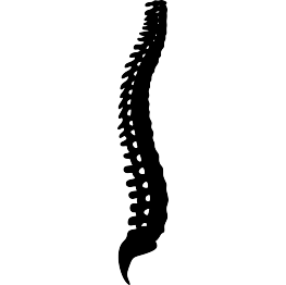 Spine Silhouette