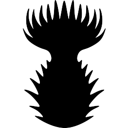 Thistle Silhouette