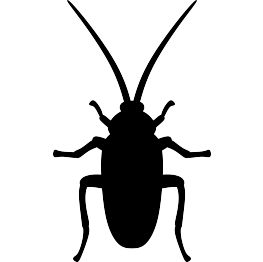 Cockroach Silhouette