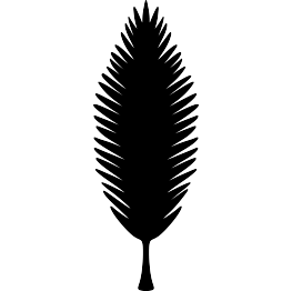 Coconut Tree Leaf Silhouette