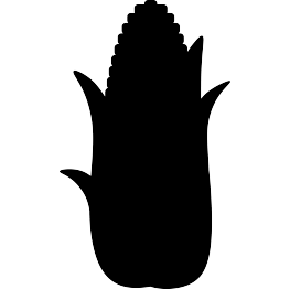 Corn Silhouette