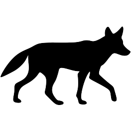 Coyote Silhouette
