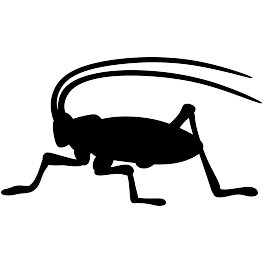 Cricket Silhouette