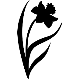 Daffodil Silhouette