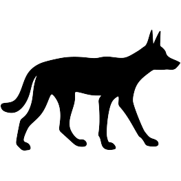 Dingo Silhouette