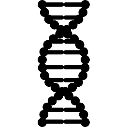 Dna Silhouette