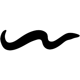 Eel Silhouette