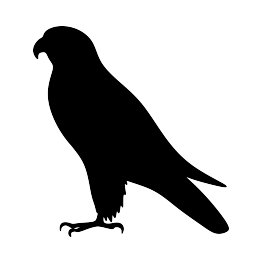 Falcon Silhouette