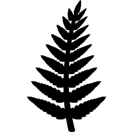 Fern Silhouette