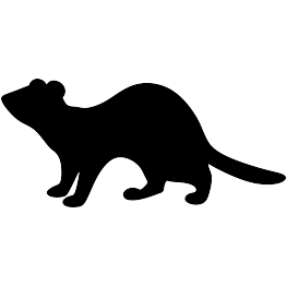 Ferret Silhouette