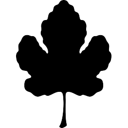 Fig Leaf Silhouette
