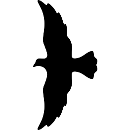 Flying Bird Silhouette