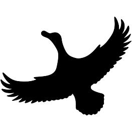 Flying Duck Silhouette
