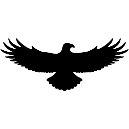 Flying Eagle Silhouette