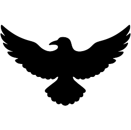 Flying Raven Silhouette