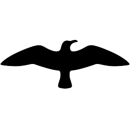 Flying Seagull Silhouette