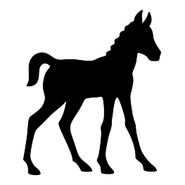 Foal Silhouette