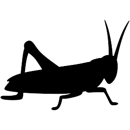 Grasshopper Silhouette