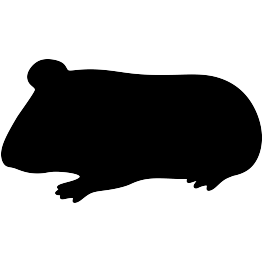 Guinea Pig Silhouette
