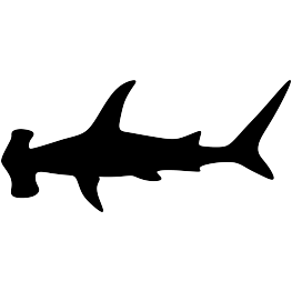 Hammerhead Shark Silhouette