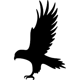 Hawk Silhouette