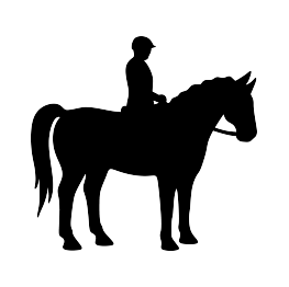Horse And Rider Silhouette
