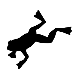 Jumping Frog Silhouette