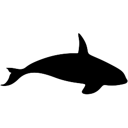 Killer Whale Silhouette