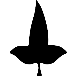 Mallorn Leaf Silhouette