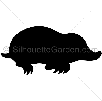 Mole Silhouette