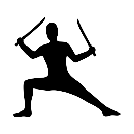 Ninja Silhouette