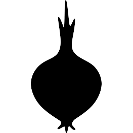 Onion Silhouette
