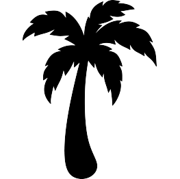 Palm Tree Silhouette