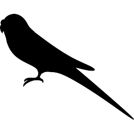 Parakeet Silhouette