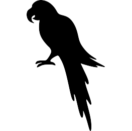 Parrot Silhouette