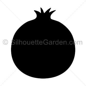 Pomegranate Silhouette