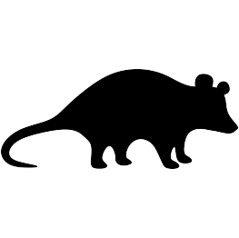 Possum Silhouette