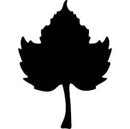 Pumpkin Leaf Silhouette