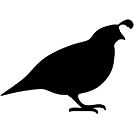 Quail Silhouette