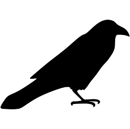 Raven Silhouette