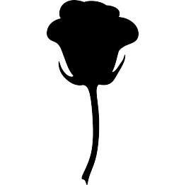 Rose Silhouette